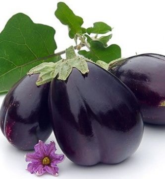 dieta-de-la-berenjena