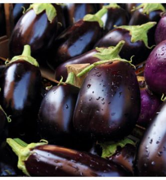 Beneficios de la Dieta de la Berenjena