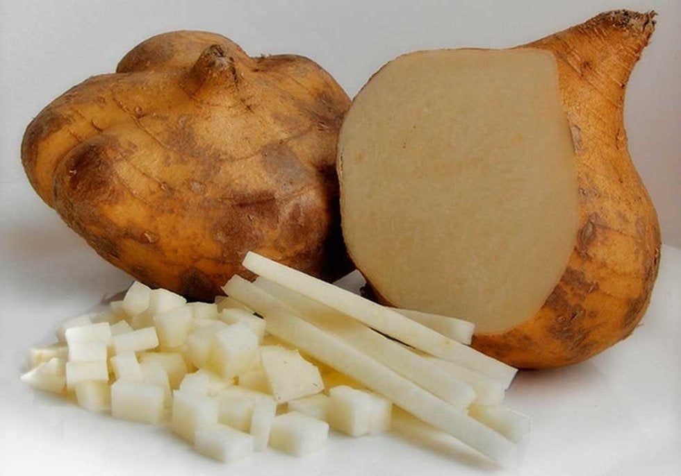Dieta de la jicama