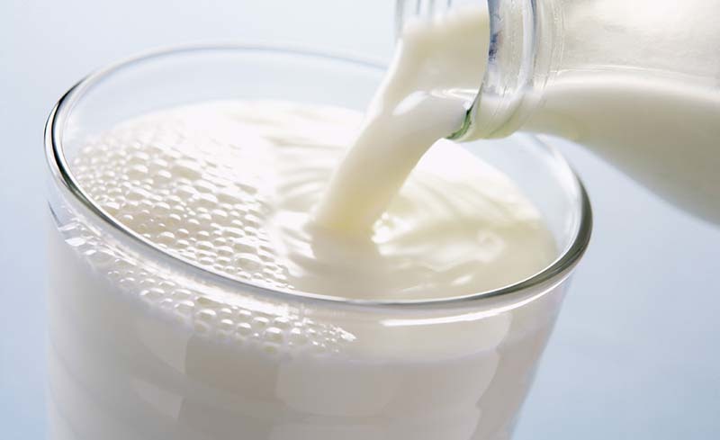 dieta-de-la-leche