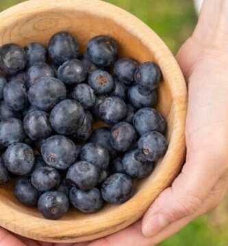 Beneficios-de-los-arandanos-en-tu-dieta